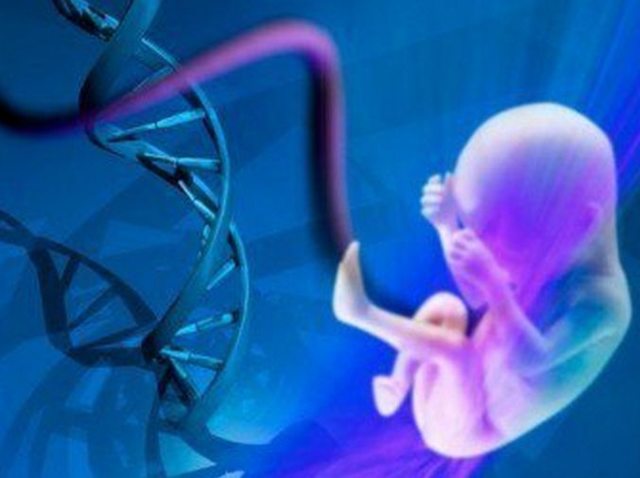 Is it possible and how to do a DNA paternity test during pregnancy, before the birth of the child?
