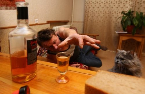 Как выселить соседей алкоголиков из квартиры, как выселить соседа из квартиры который пьет