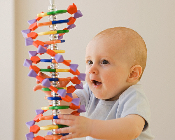 Ходатайство о назначении генетической экспертизы по установлению отцовства (образец)